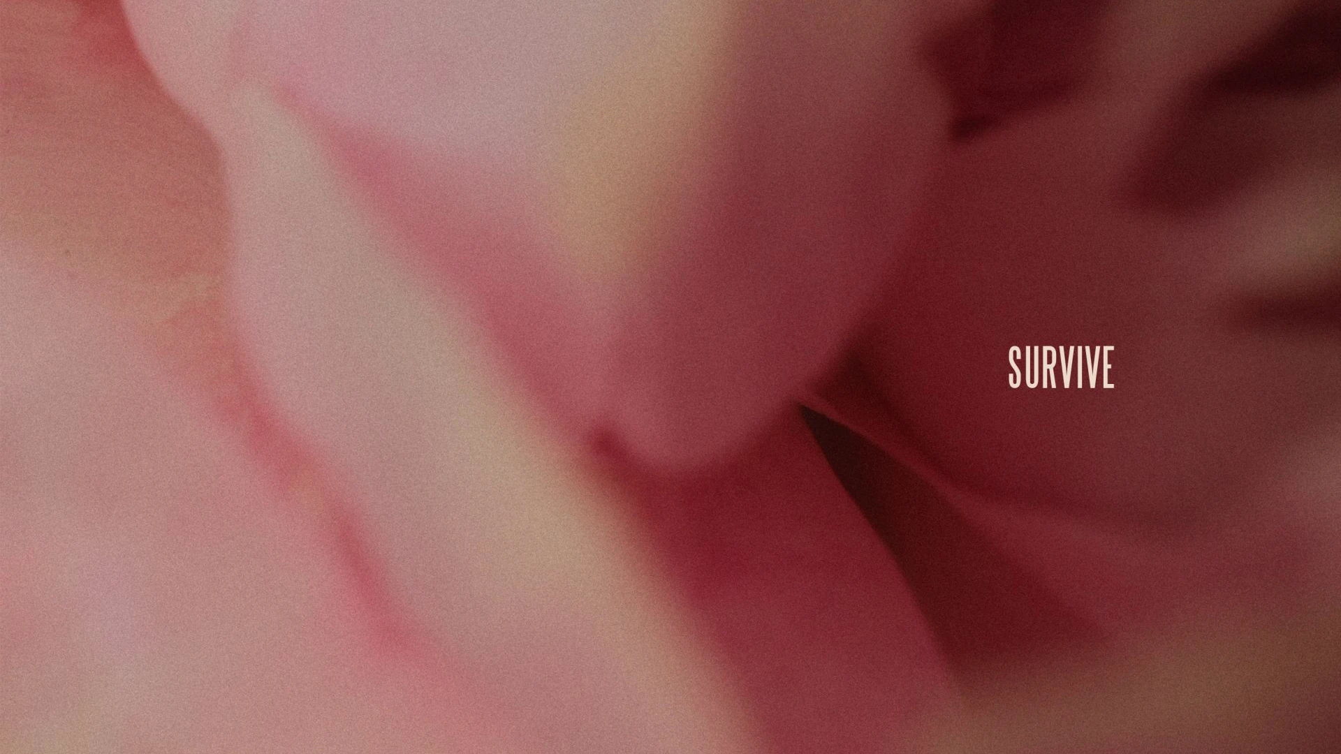 © Vertigo © Vertigo