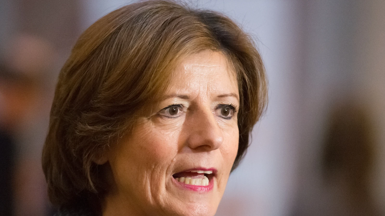 Mainz, © shutterstock Mainz, © shutterstock