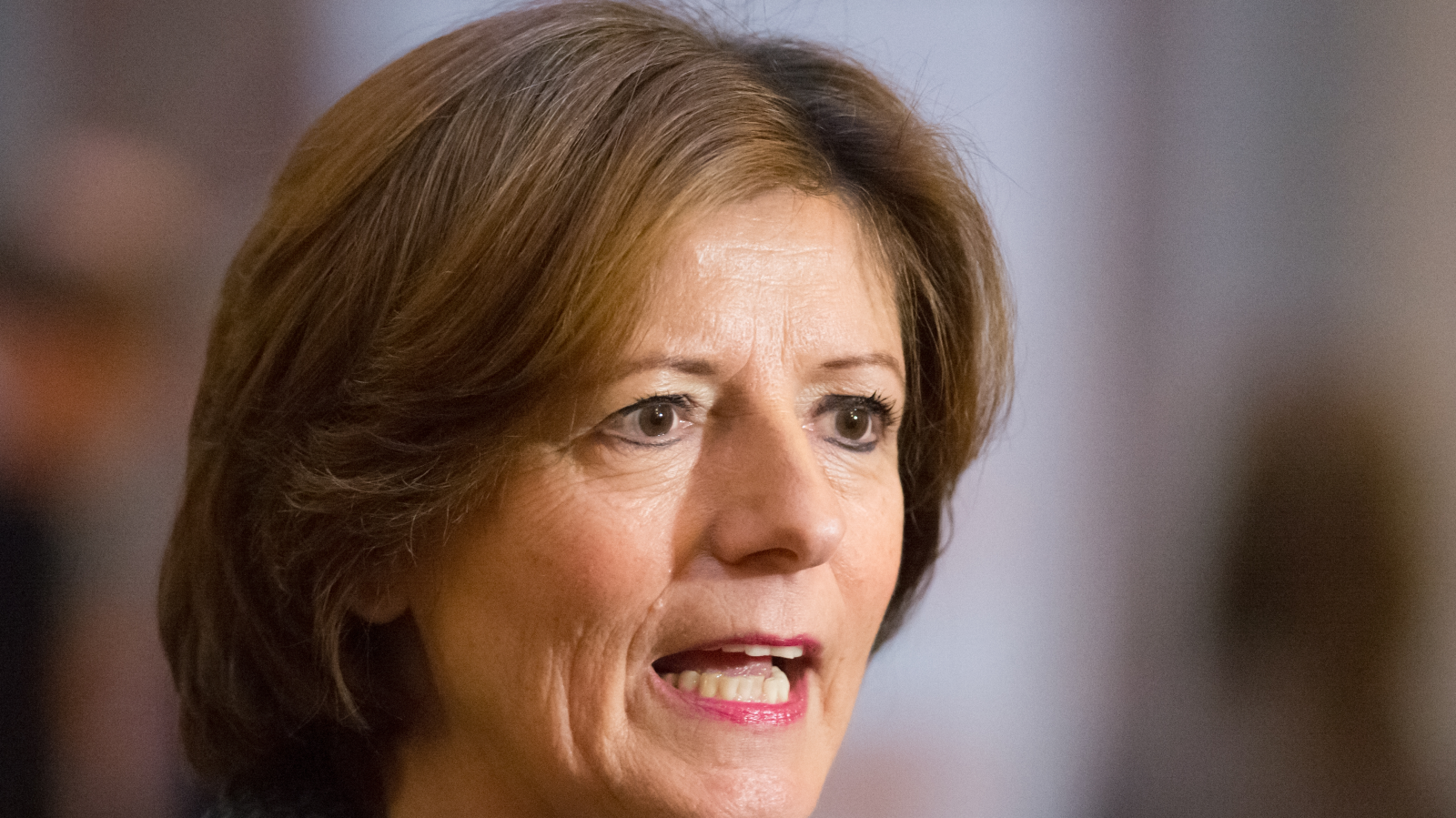 Mainz, © shutterstock