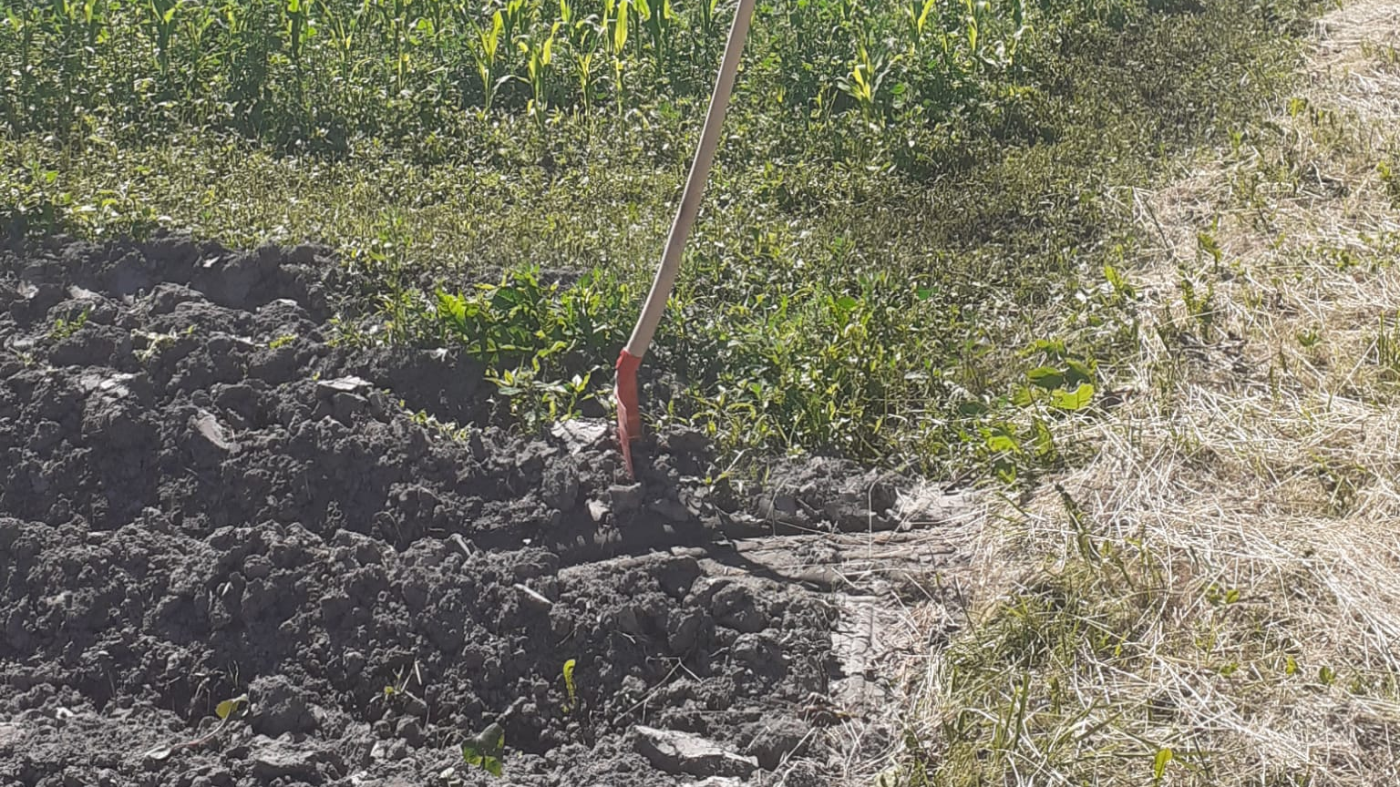 75'000 Franken für Projekt Ernährungsfeld genehmigt, © Radio Liechtenstein