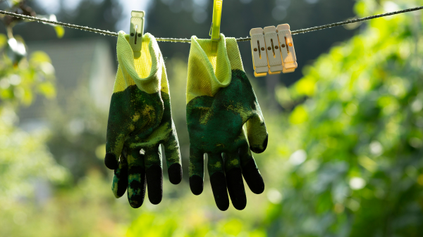 Frühling im Garten:&nbsp;Tipps für Anfänger und Pflanzenflüsterer, © Irina Gromovataya