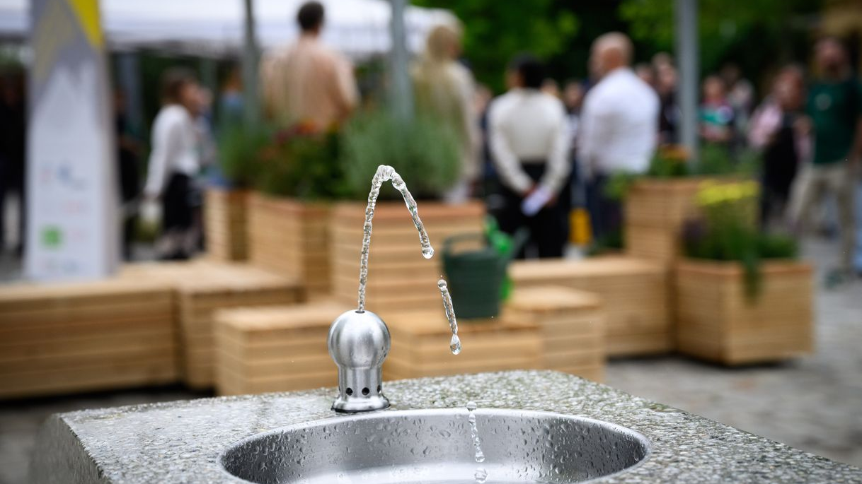 Berlin Mauerpark’ta Yenileme Çalışmaları Başladı!, © Bernd von Jutrczenka/dpa
