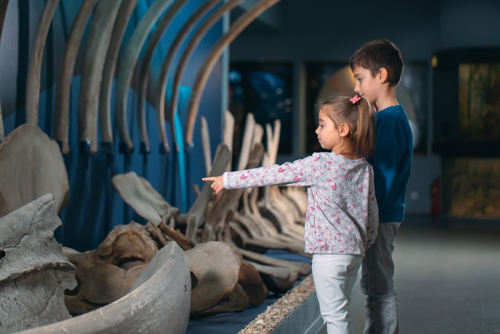 Kindgerechte Museen in BadenWürttemberg