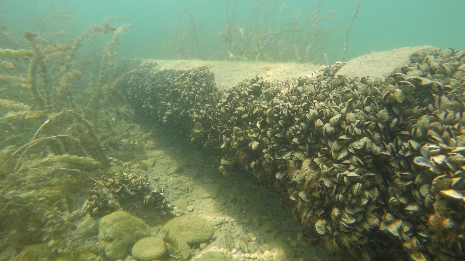 Der Kanton St. Gallen schützt den Walensee, © Eawag / Linda Haltiner Der Kanton St. Gallen schützt den Walensee, © Eawag / Linda Haltiner