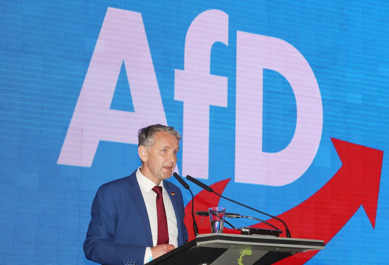 Björn Höcke, Vorsitzender der AfD in Thüringen.