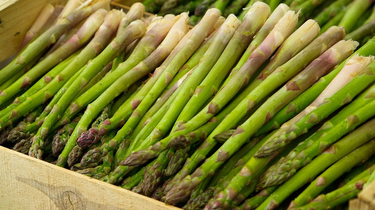 Schweizer Spargelbauern hoffen auf Wärme, © jacqueline macou/Pixabay Schweizer Spargelbauern hoffen auf Wärme, © jacqueline macou/Pixabay