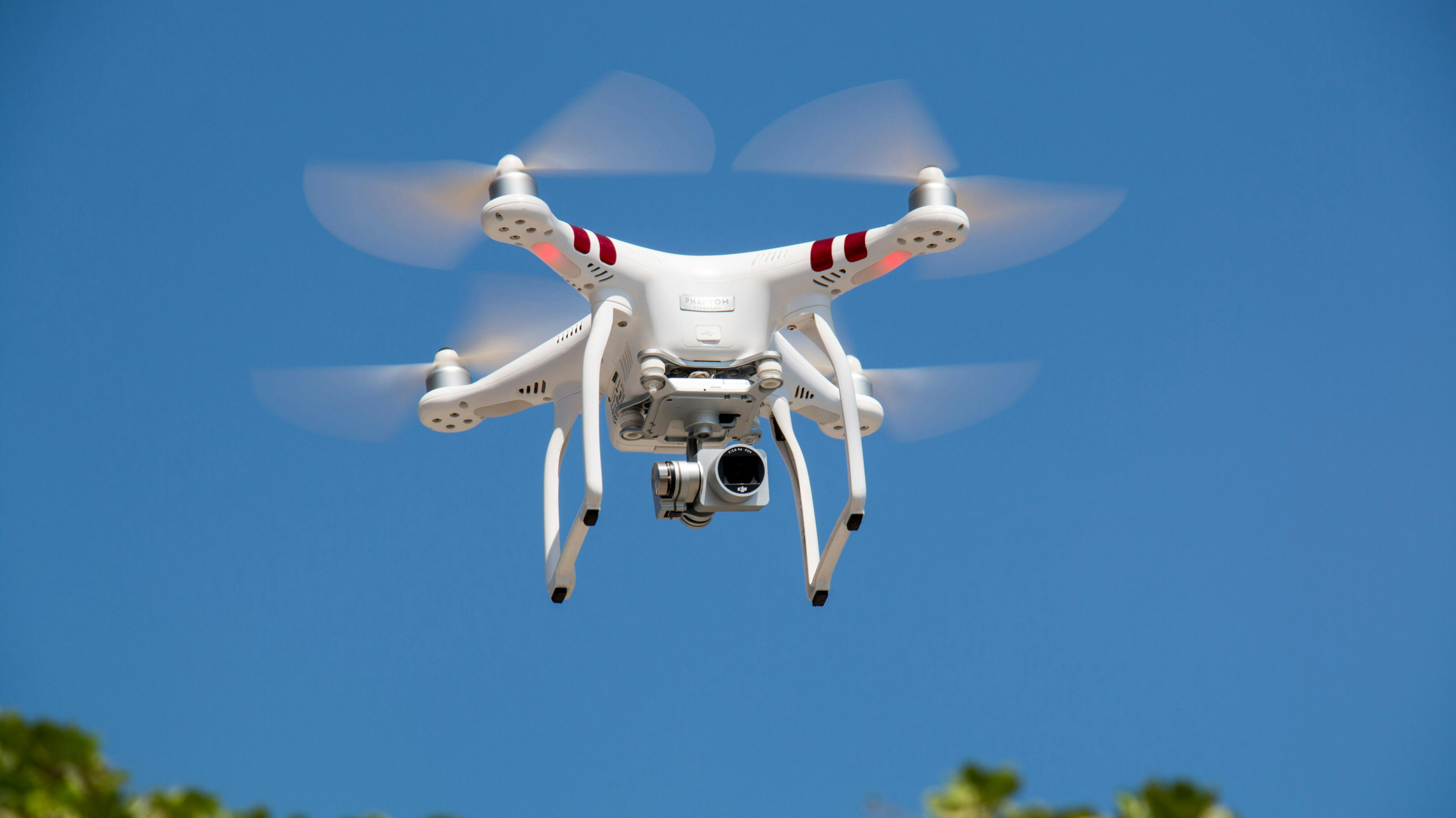 © Inmortal Producciones