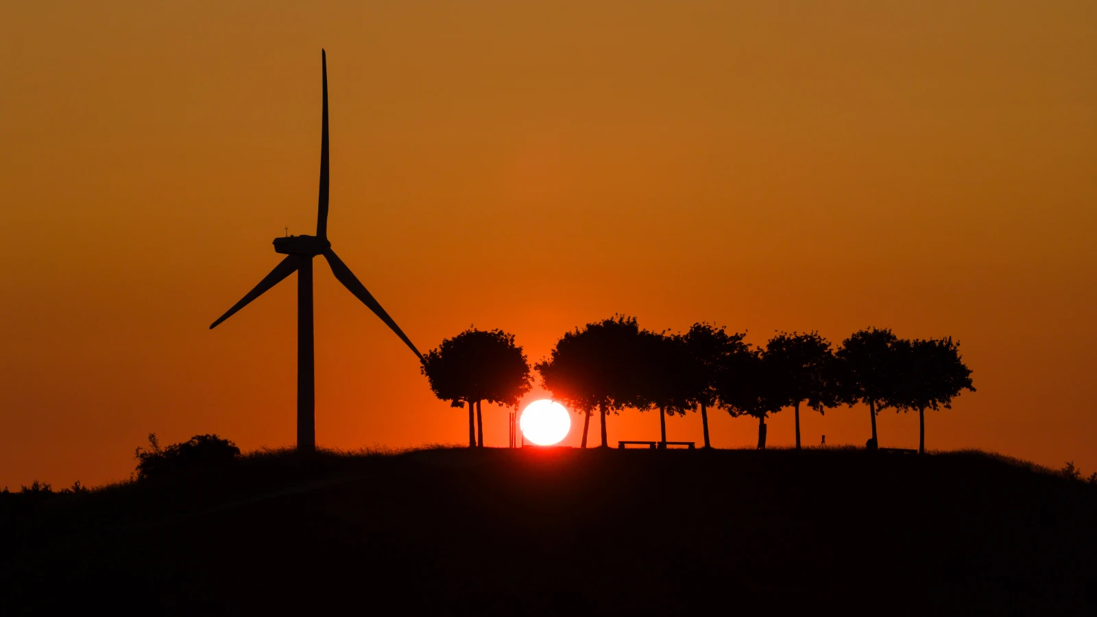 Almanya’da bugün tam anlamıyla yaz var!, © Julian Stratenschulte/dpa Almanya’da bugün tam anlamıyla yaz var!, © Julian Stratenschulte/dpa