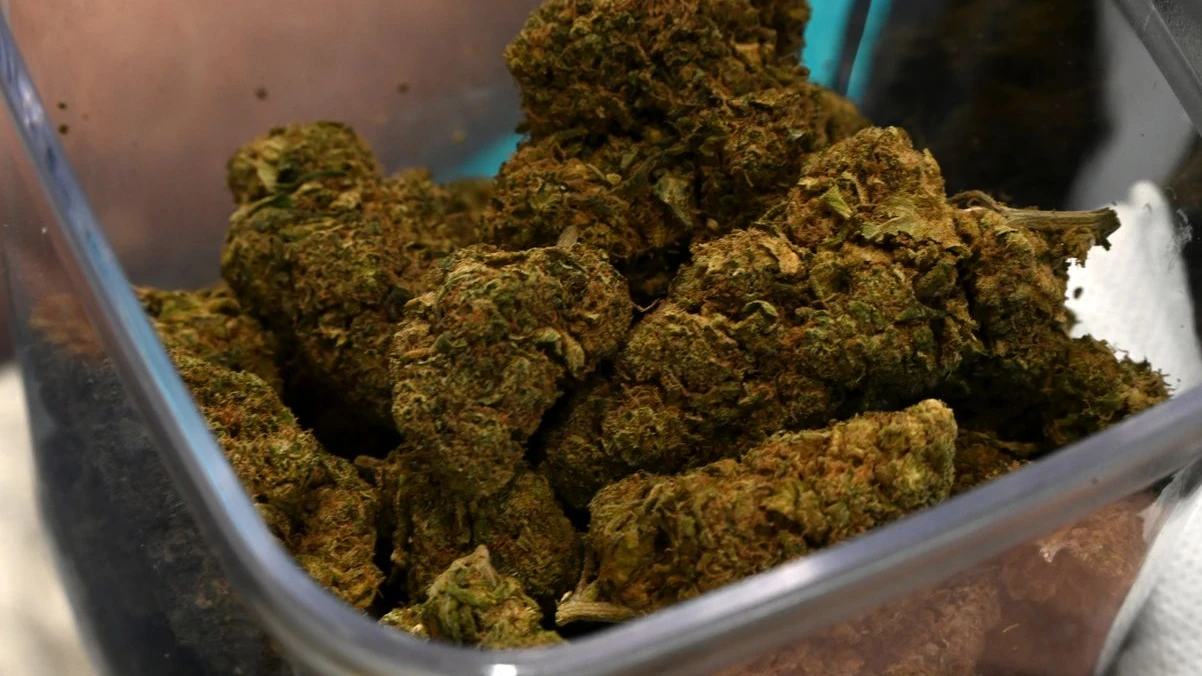 Münster’de Uyuşturucu Çetesi Davası: 300 Kilo Esrar ve Silahlar, © Michael Brandt/dpa Münster’de Uyuşturucu Çetesi Davası: 300 Kilo Esrar ve Silahlar, © Michael Brandt/dpa