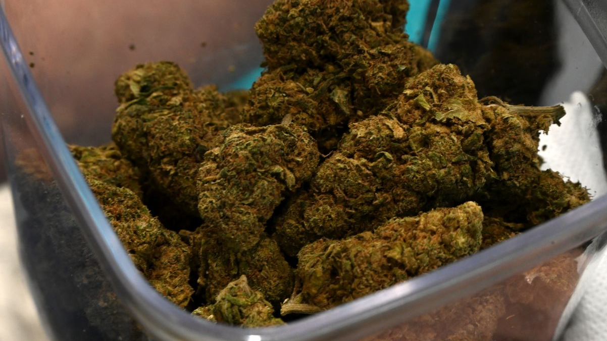 Münster’de Uyuşturucu Çetesi Davası: 300 Kilo Esrar ve Silahlar, © Michael Brandt/dpa