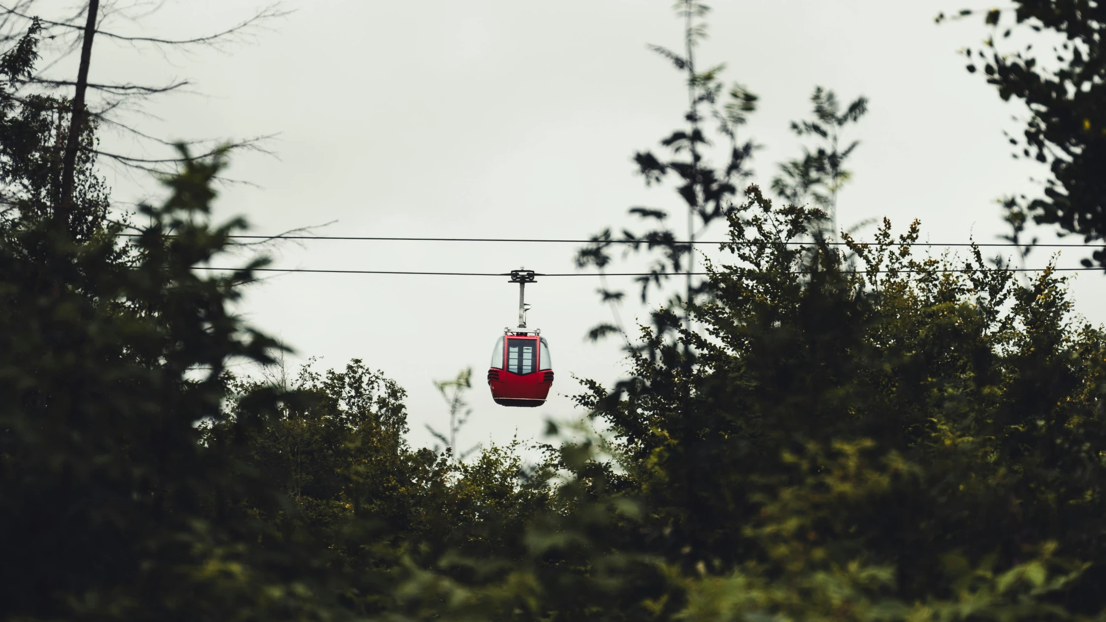 Spot des Monats September 2025: "Lärm-Auszeit" von Braunlage Tourismus, © Tim Diercks Spot des Monats September 2025: "Lärm-Auszeit" von Braunlage Tourismus, © Tim Diercks