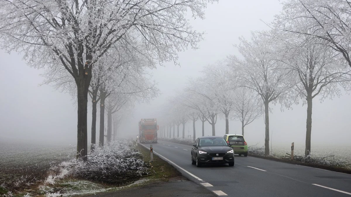 Almanya’da son 15 yılın en soğuk Noel’i bekleniyor, © Matthias Bein/dpa Almanya’da son 15 yılın en soğuk Noel’i bekleniyor, © Matthias Bein/dpa