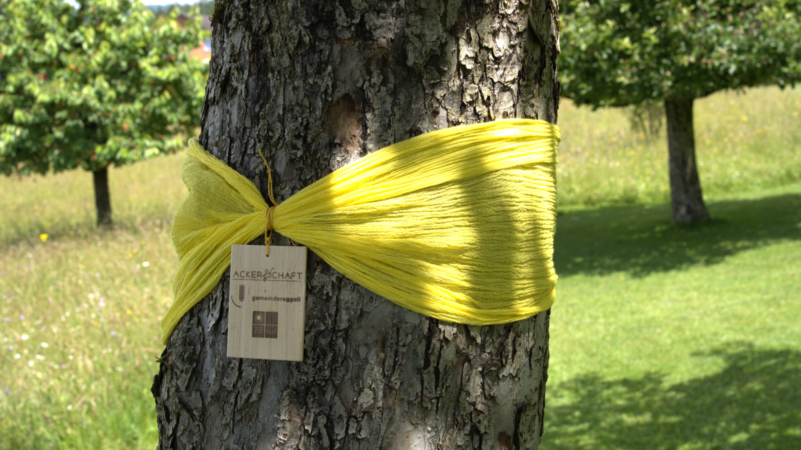 Mit dem Gelben Band dürfen alle ernten, © Ackerschaft