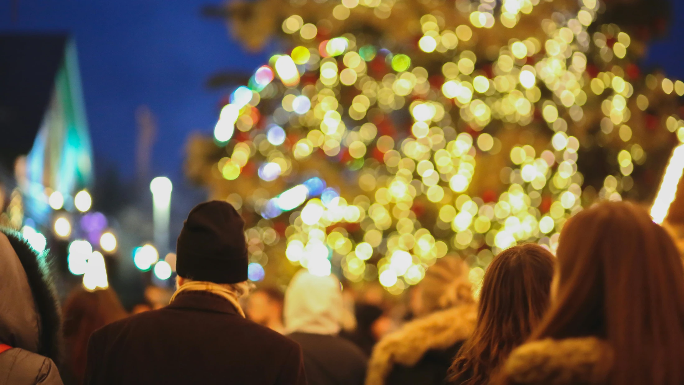 © Ryutaro Tsukata © Ryutaro Tsukata