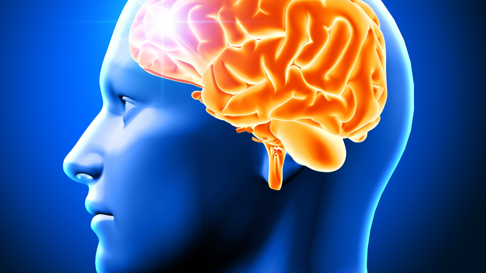  
Sağlıklı Beyin İçin 6 Altın Kural!, © Freepik