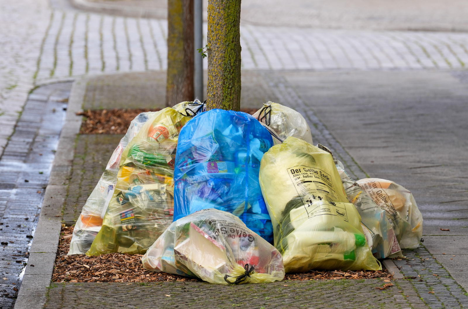 Bremen’de yasa dışı çöp dökümü sorunu büyüyor, © Soeren Stache/dpa