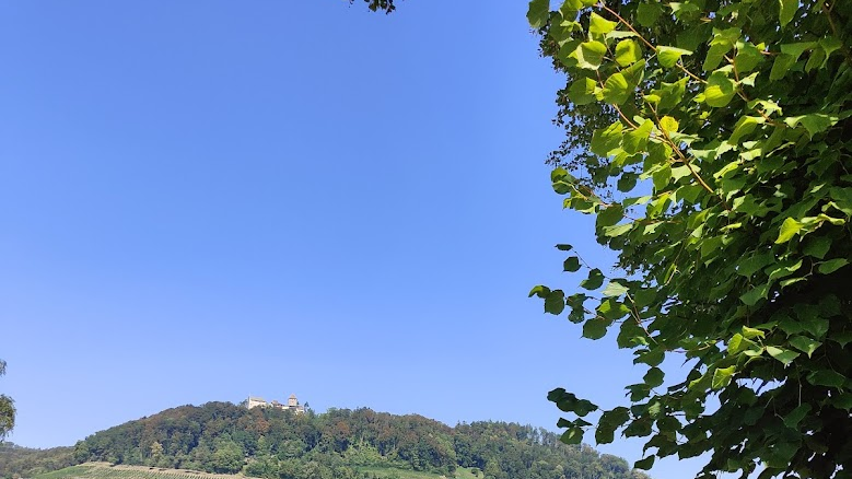 Klimakarten sind ab Juli bereit, © Radio Liechtenstein
