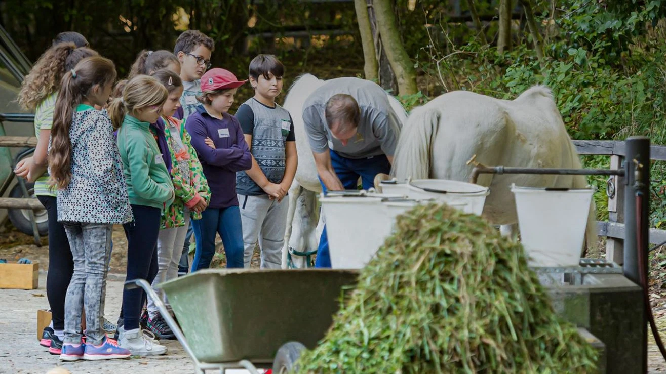 © Zoo Basel © Zoo Basel