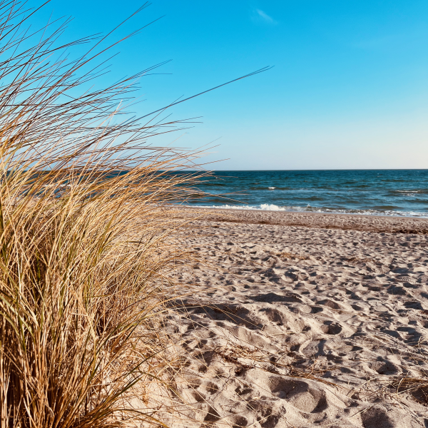 Sebastian Tegtmeyer, © Foto: Privat