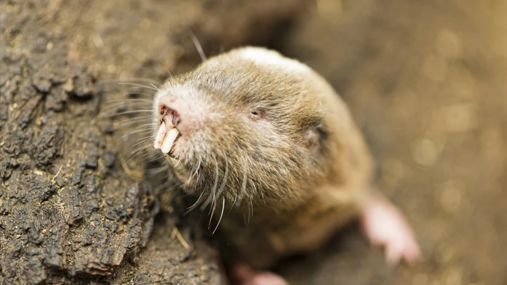 © Zoo Basel © Zoo Basel