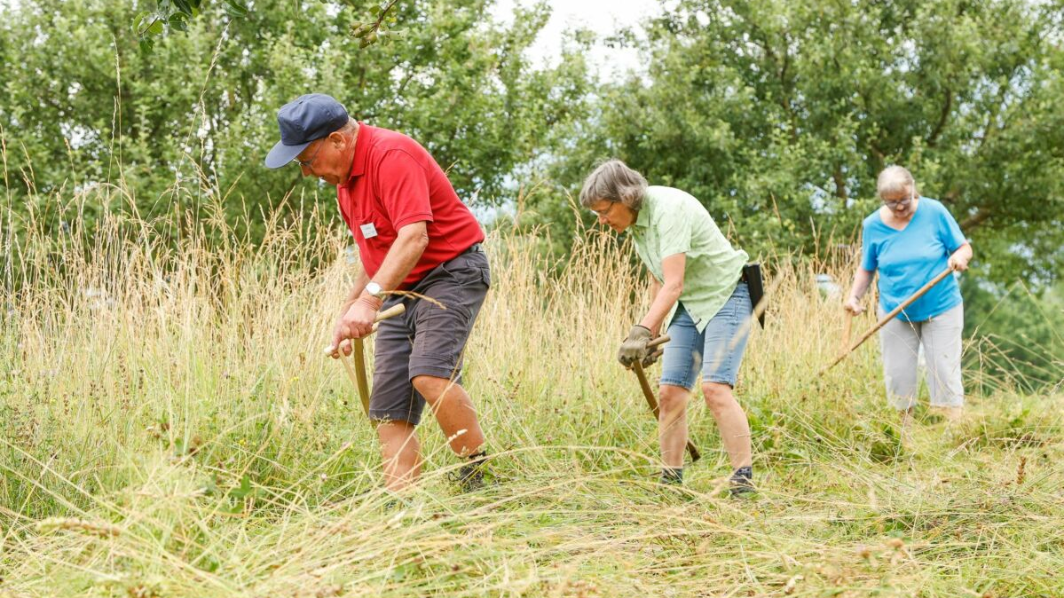 © ZVG_Gemeinde_Vaduz