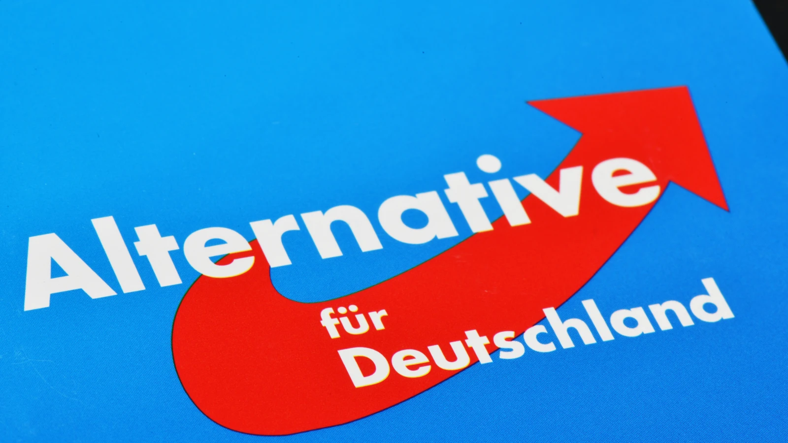 AfD Göçmen Kökenli Üyelerini Arıyor! , © shutterstock AfD Göçmen Kökenli Üyelerini Arıyor! , © shutterstock