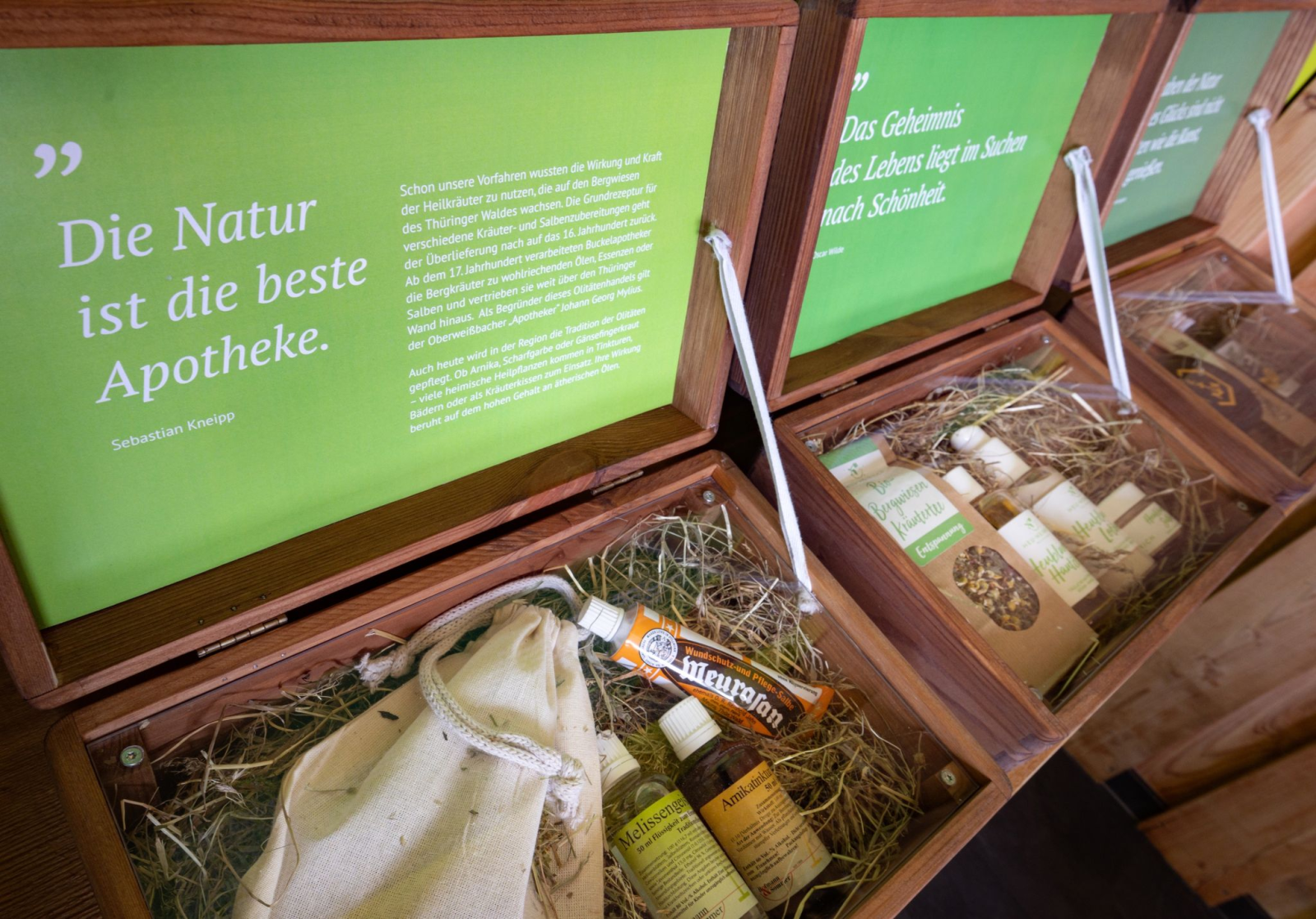 Heilmittel aus der Natur werden im neuen Bergwiesenzentrum im Thüringer Wald gezeigt.