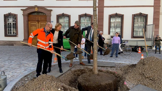 Die Bauarbeiten an der St. Alban-Vorstadt sind abgeschlossen, © Radio Basilisk