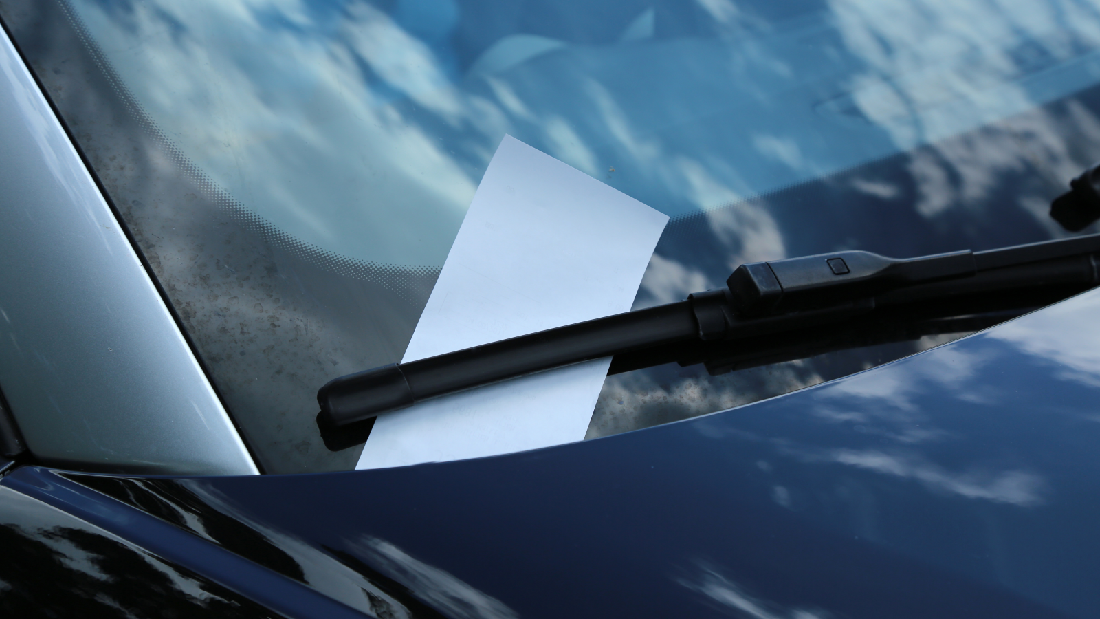 Shutterstock, © Shutterstock