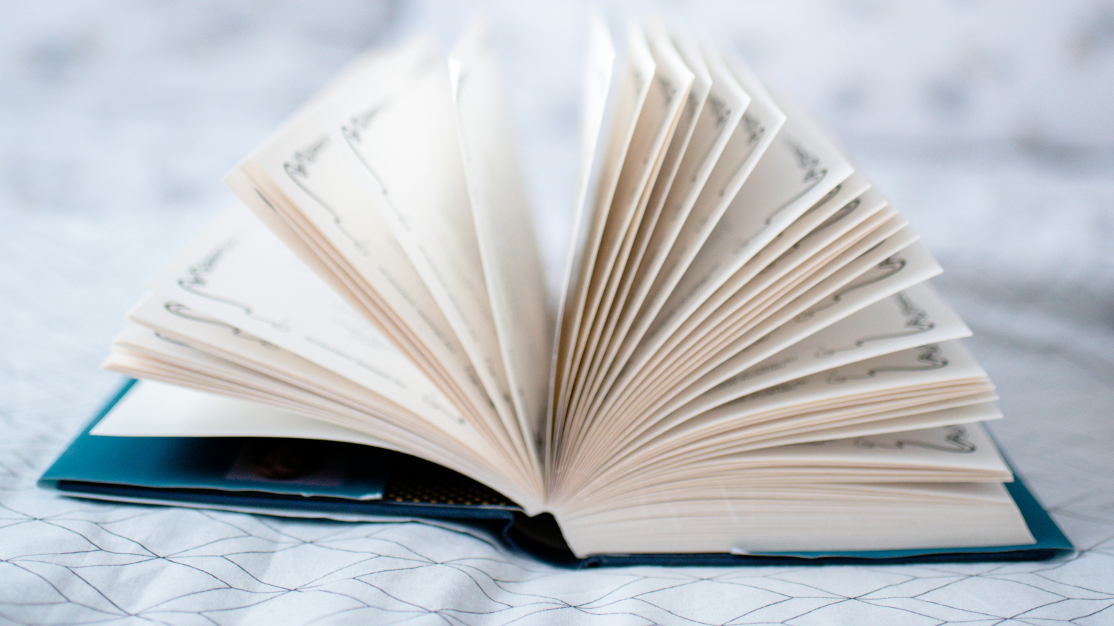 Buchpräsentation "Magische Orte", © unsplash/Sinziana Susa