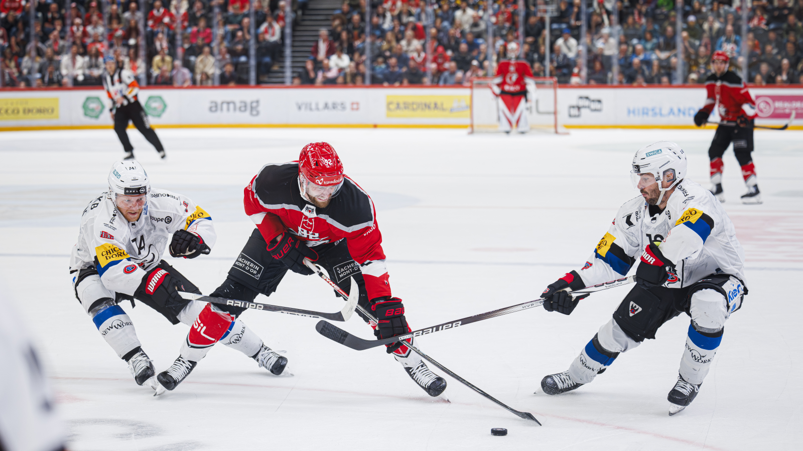 Lausanne ein Sieg vor dem ersten Playoff-Final, © KEYSTONE/Valentin Flauraud