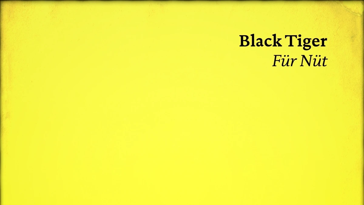 BLACK TIGER, Für Nüt, © iGroove AG BLACK TIGER, Für Nüt, © iGroove AG