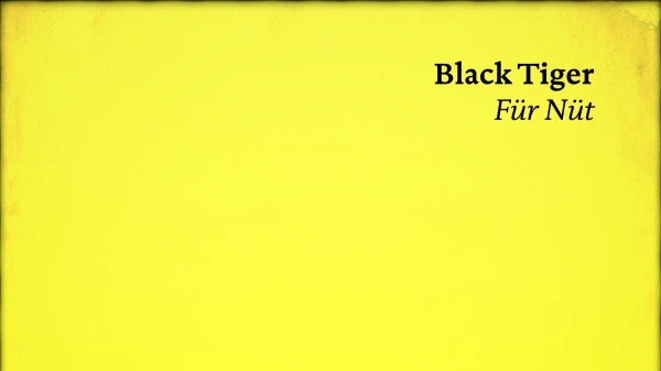 BLACK TIGER, Für Nüt, © iGroove AG BLACK TIGER, Für Nüt, © iGroove AG