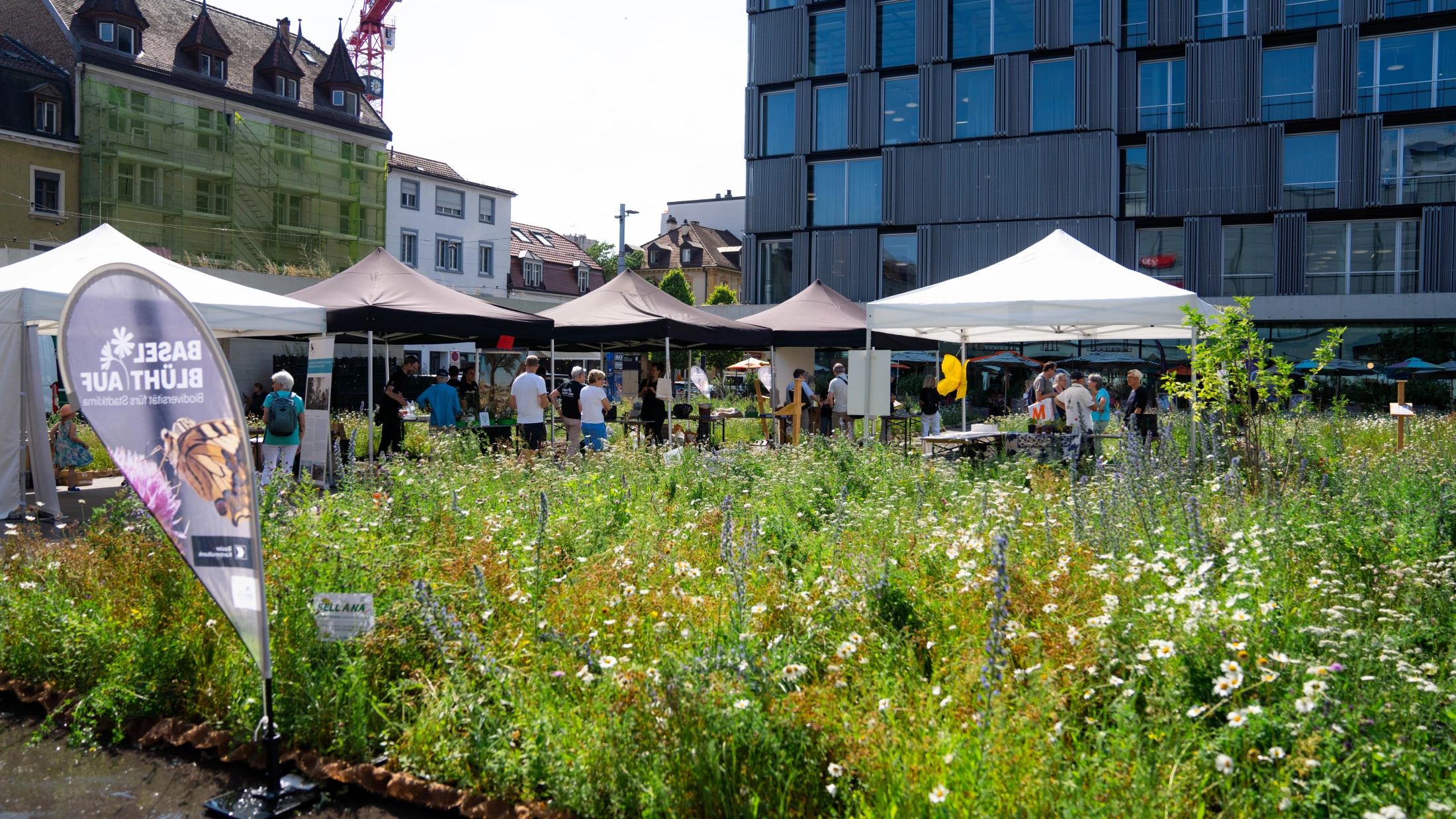 © BirdLife © BirdLife