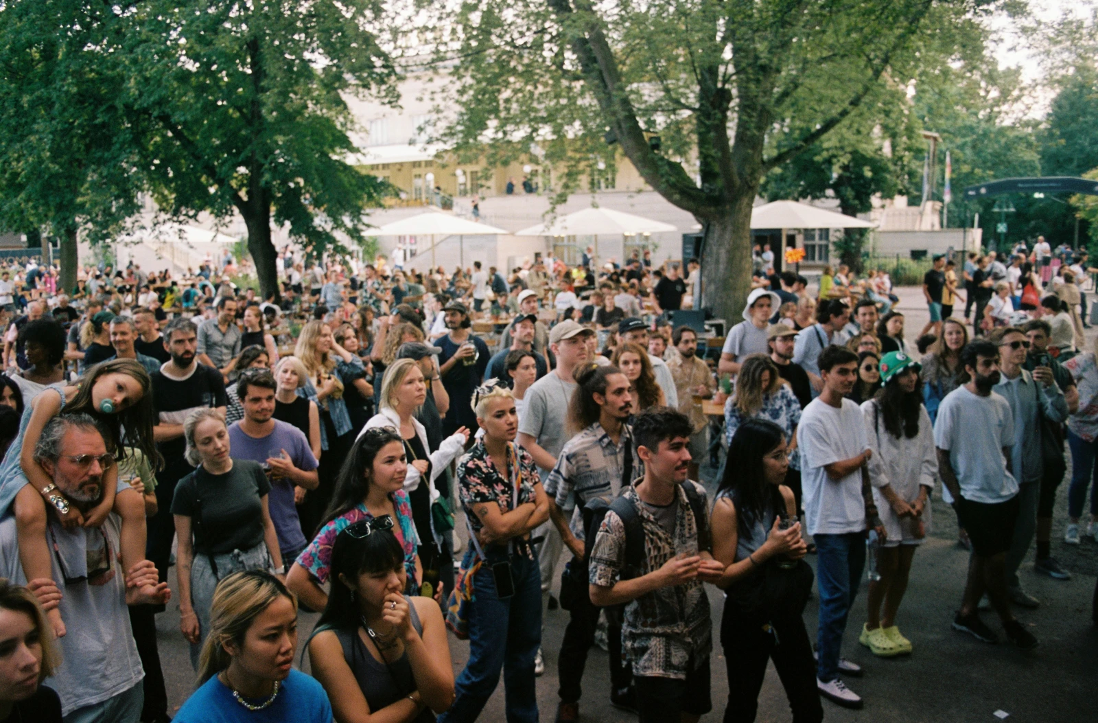 © Photo by Niko © Photo by Niko