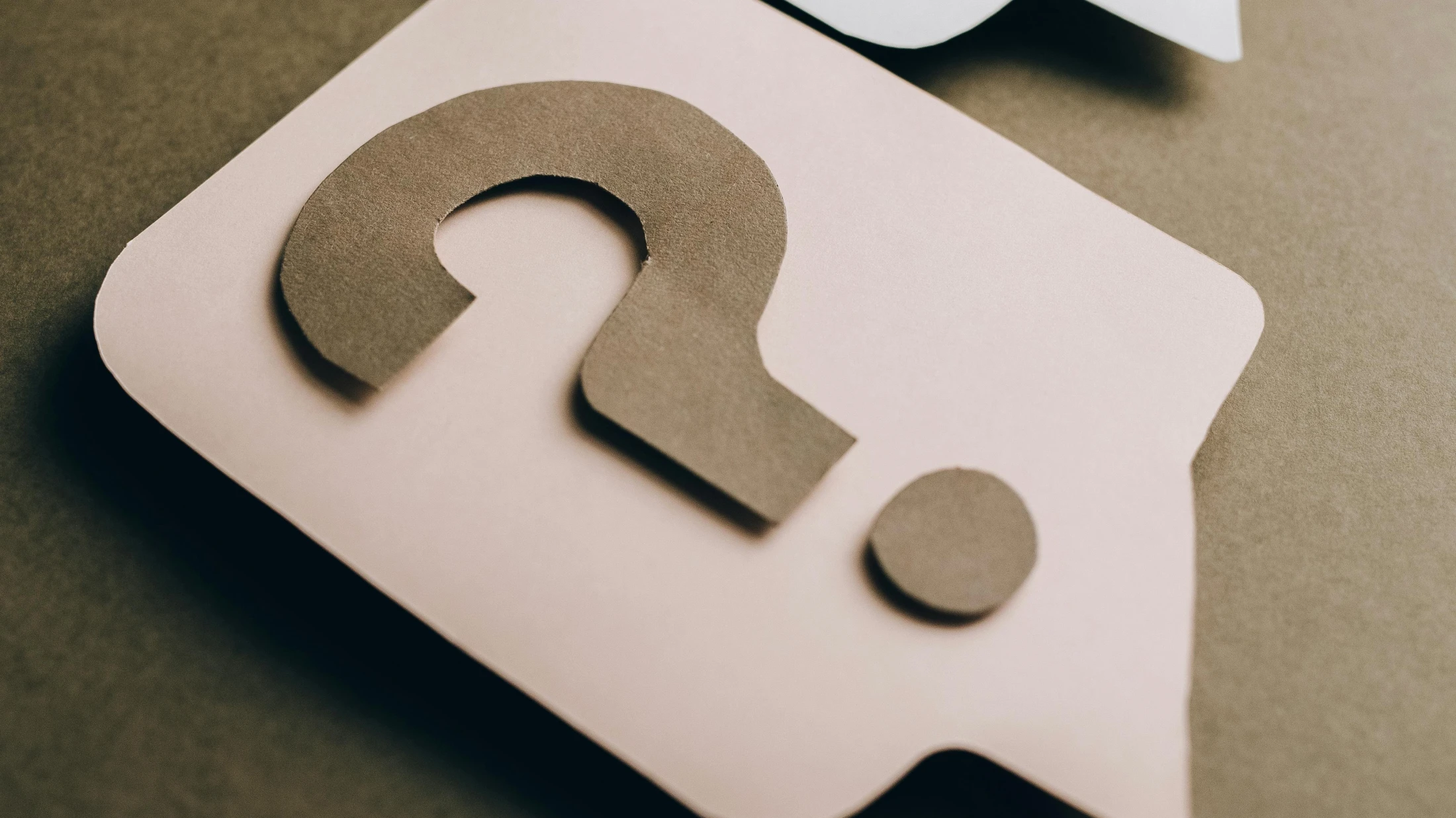 © Leeloo The First © Leeloo The First