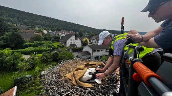 © Beat Huggenberger © Beat Huggenberger