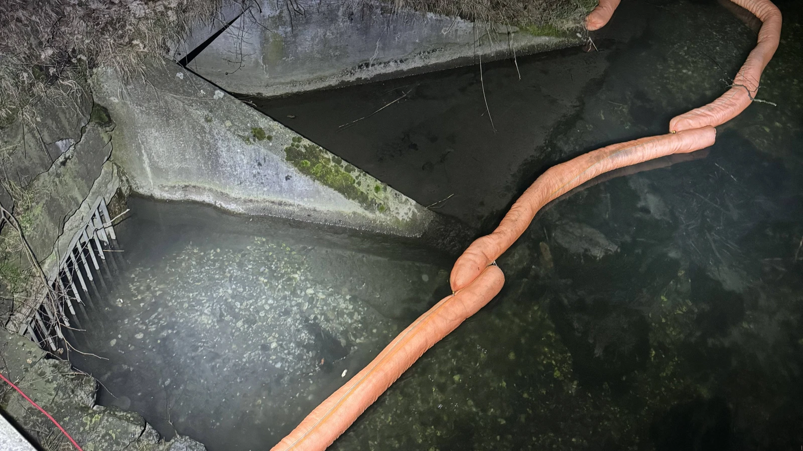 Ölfilm im Werdenberger Binnenkanal bei Buchs, © Kantonspolizei St. Gallen Ölfilm im Werdenberger Binnenkanal bei Buchs, © Kantonspolizei St. Gallen