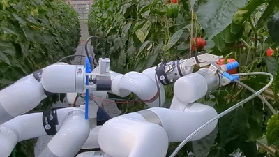 Bonn Üniversitesi: Tarımın Geleceği Robotlarda 'HortiBot', © hrl.uni-bonn Bonn Üniversitesi: Tarımın Geleceği Robotlarda 'HortiBot', © hrl.uni-bonn