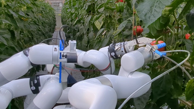 Bonn Üniversitesi: Tarımın Geleceği Robotlarda 'HortiBot', © hrl.uni-bonn