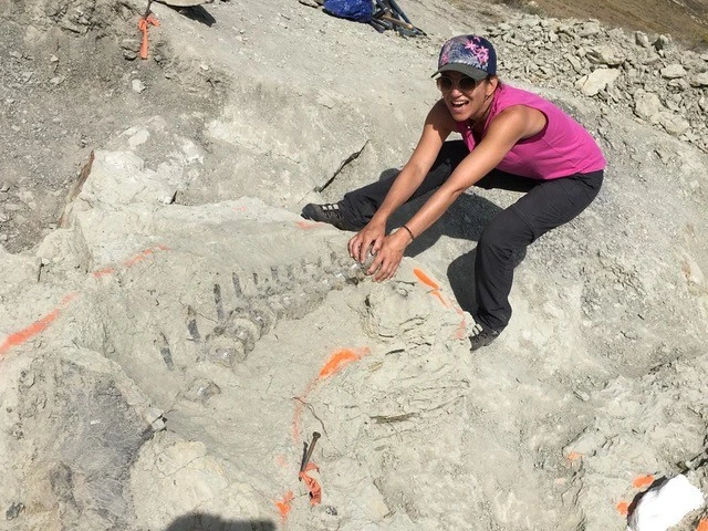 © Yolanda Schicker © Yolanda Schicker