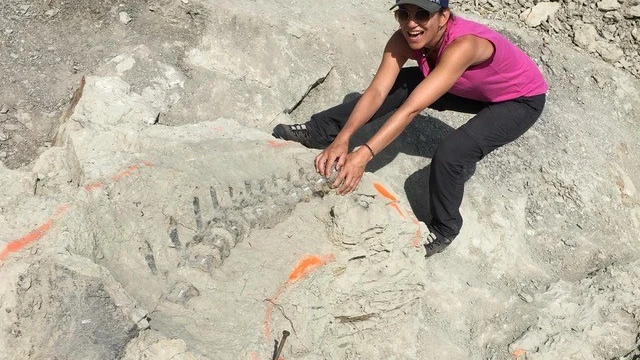 © Yolanda Schicker © Yolanda Schicker