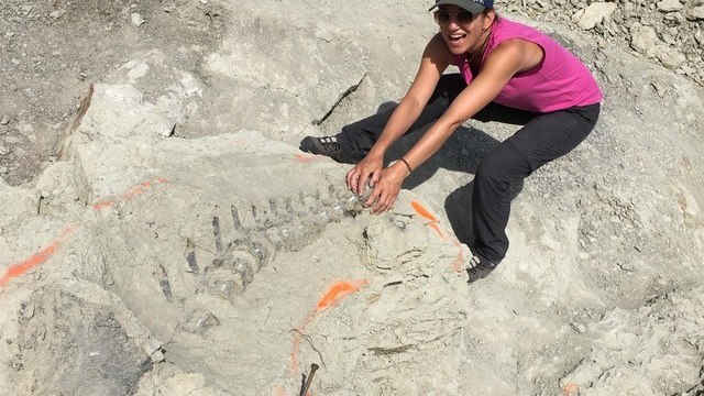 Unter 4 Augen mit Yolanda Schicker, Neue Direktorin des Sauriermuseums Aathal, © Yolanda Schicker