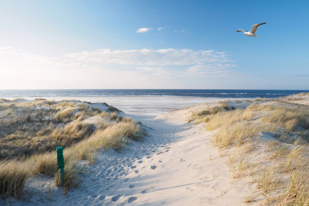 Schleswig-Holstein macht Touristenattraktionen fit für die neue Saison, © Foto: ShutterProductions / Shutterstock