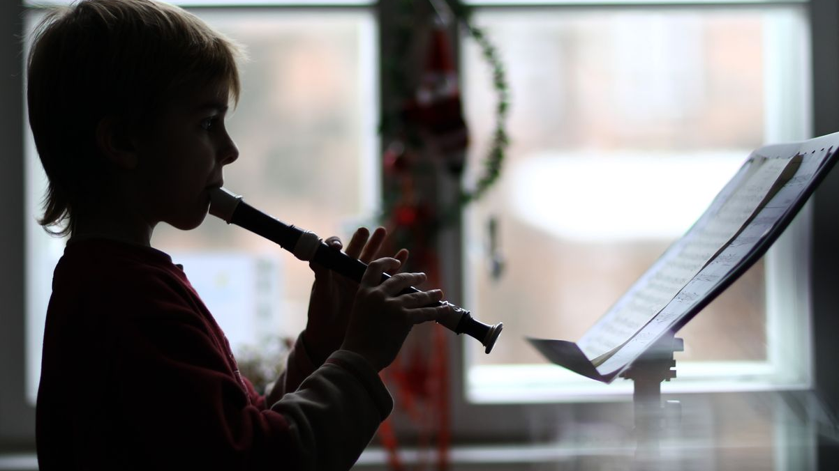 Hessen'de Flüt Projesi Tartışması: Müzik Eğitimi, Teşvik mi, Nostalji mi?, © Jens Büttner/dpa-Zentralbild/dpa