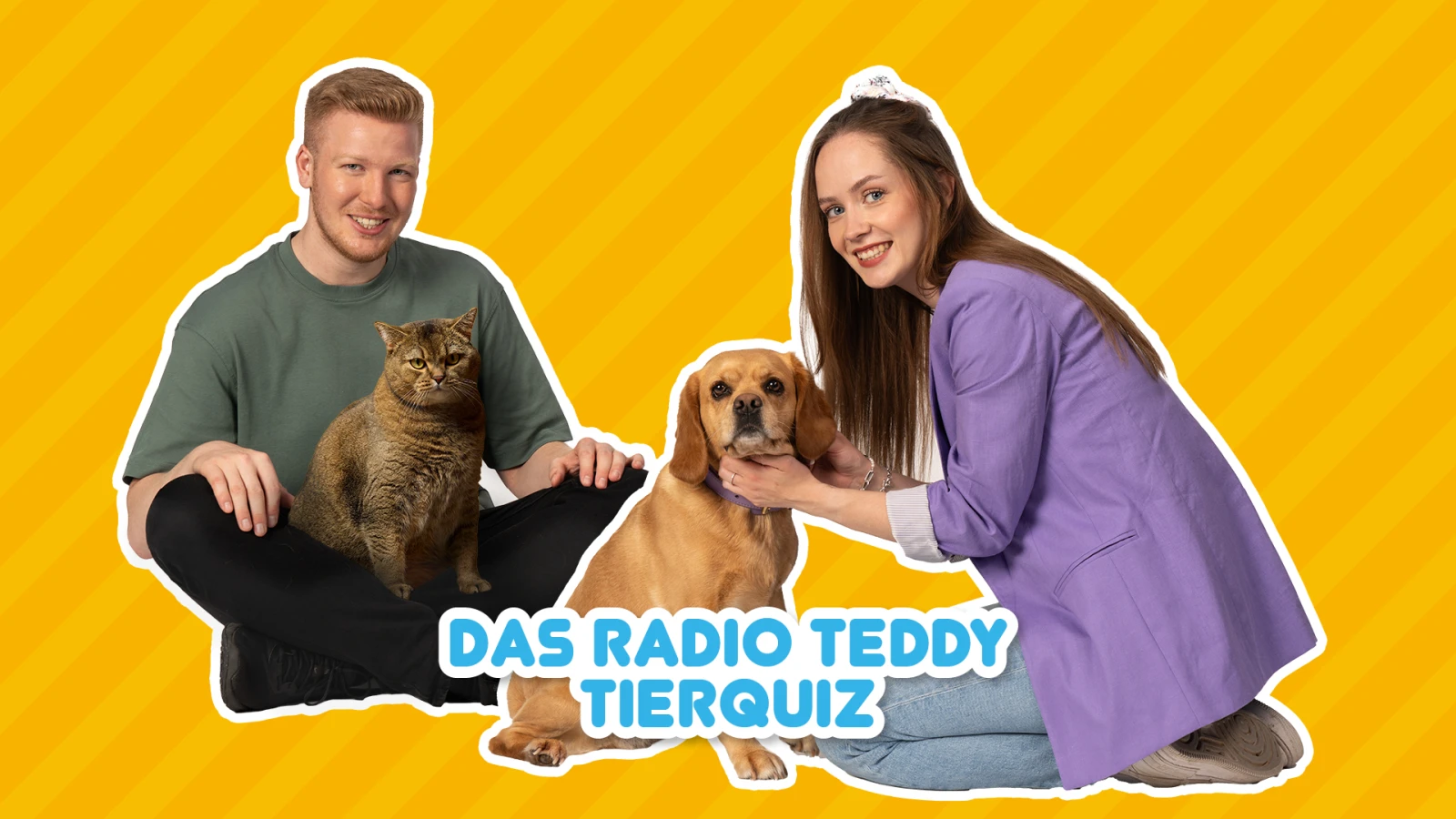 Tierisch ernst - tierischer Quatsch: Das Radio TEDDY-Tierquiz Tierisch ernst - tierischer Quatsch: Das Radio TEDDY-Tierquiz
