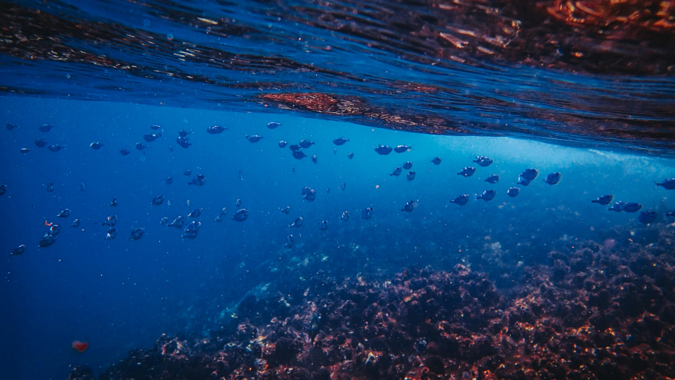 © Francesco Ungaro © Francesco Ungaro