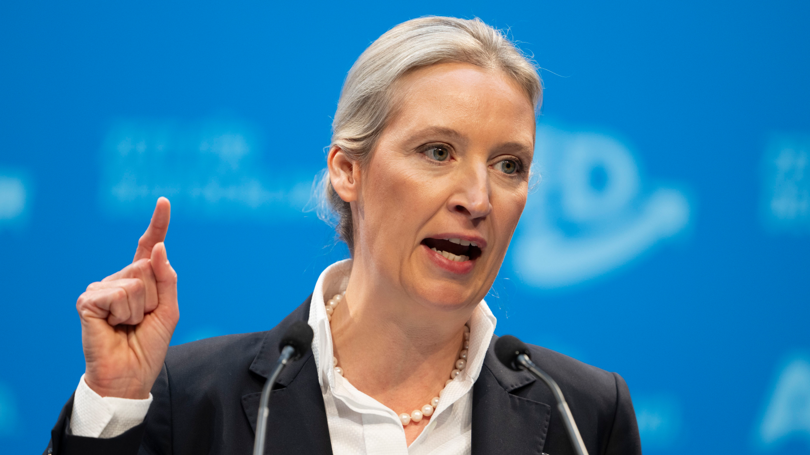 AfD’den CDU’ya: “Birlikte Çalışalım!”, © Foto: Sebastian Kahnert/dpa