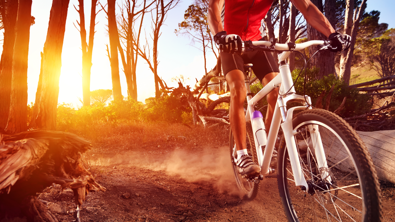 Interpellationsbeantwortung betreffend Freizeit-Fahrradverkehr, Wandern, Jagd und Naturschutz verabschiedet, © Depositfotos / Symbolbild