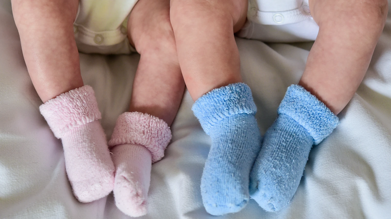 İkiz Bebek Ülkesi Baden-Wütemberg! , © dpa İkiz Bebek Ülkesi Baden-Wütemberg! , © dpa